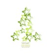 ABETO DE NAVIDAD CON ESTRELLAS