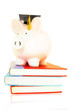 piggy bank on book pile - student debt concept