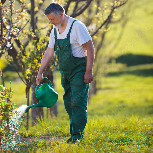 Photo: watering orchard/garden watering orchard/garden