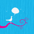 song bird on branch