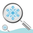 winter search