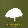 Baum Logo