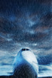 bad weather flight