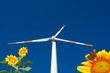 Foto: Energie Energie