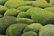 jardins de marqueyssac