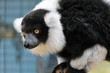 zoo de palmyre