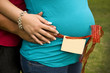 Pregnant woman being held by her husband. Pregnant woman being held by her husband.
