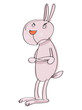 rabbit rabbit