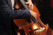 the bass