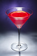 Negroni cocktail Negroni cocktail