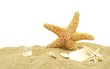 seastar and sand bank