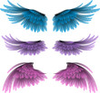 set of wings vector illustration