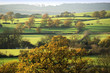 country estate