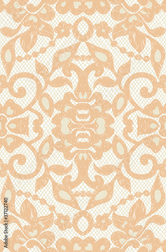 Vector: Beautiful floral beige lace Beautiful floral beige lace