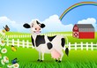 Cow in pasture