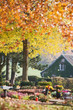 Autumn Cemetery