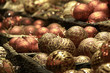 Celebrating merry christmas - winter holiday decorations Celebrating merry christmas - winter holiday decorations
