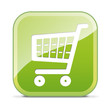 Shopping Cart Button