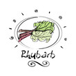 rhubarb