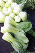 bok choy
