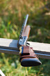 Shotgun with ammunition
