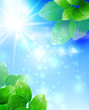Summer or spring vector illustration for fresh design