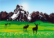 Bergkulisse mit Wild