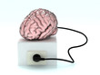 elettrobrain