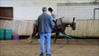 Reiten