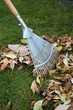 Gartenarbeit
