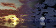 Day and Night