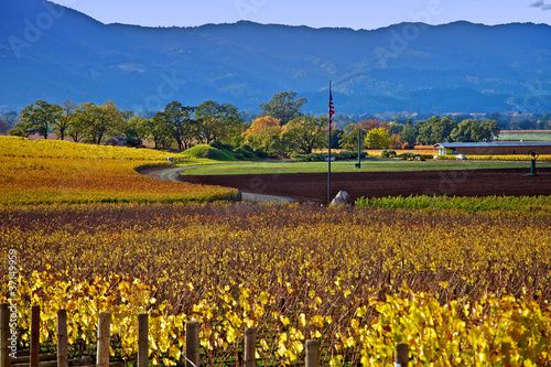 Photo: Napa USA Napa USA