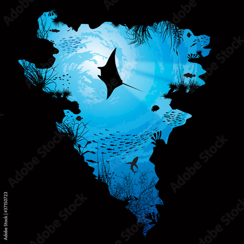 Illustration: plongée soumarine fond océan mer plongée soumarine fond océan mer
