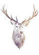 deer head, vector