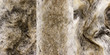 Fur brown artificial | Texture