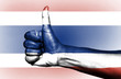 Thai flag