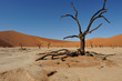 Dunes dans le désert du Namib, Namibie