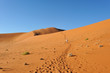 Dunes dans le désert du Namib, Namibie