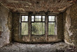 Overgrown window in a derelict room