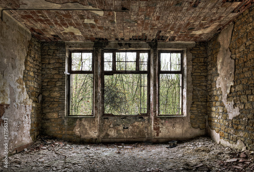 Photo: Overgrown window in a derelict room Overgrown window in a derelict room