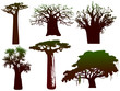 various trees of Africa - vector