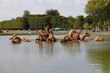 Versailles - Château de Versailles