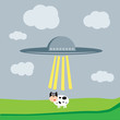 Spaceship kidnaps the cow Spaceship kidnaps the cow