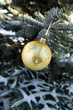 Christmas decorations on frozen branches of coniferous tree Christmas decorations on frozen branches of coniferous tree