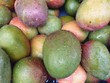 Mango fruits in boxes at the greengrocer Mango fruits in boxes at the greengrocer