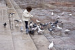 Girl and pigeons