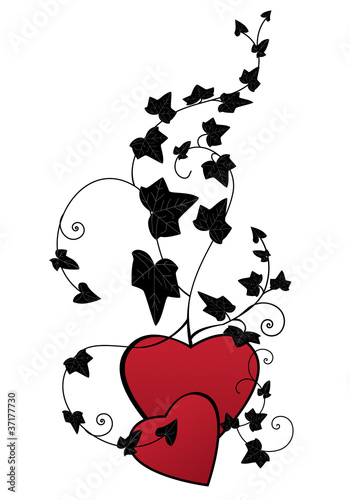 Vector: ivy and hearts ivy and hearts