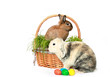 zwei Osterhasen mit Korb