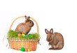 2 Osterhasen