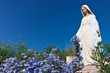 Vierge bleue de Bocca d'Oro, Corse Vierge bleue de Bocca d'Oro, Corse